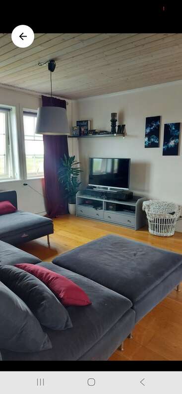 A cozy living room with dark sectional sofa, red pillows, light wooden ceiling, TV on cabinet, decorative shelf, green plant, windows, and wall art.