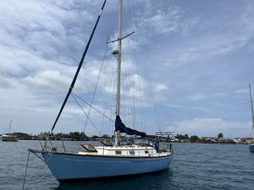 A blue and white sailboat floats calmly on a peaceful sea under a partly cloudy sky, with distant shoreline and buildings visible in the background.