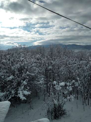 Un paysage d'hiver serein avec des arbres couverts de neige, des montagnes lointaines et un ciel nuageux. La lumière du soleil traverse les nuages et jette une lumière douce sur cette scène paisible et glacée.