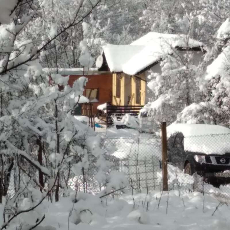 Une maison confortable entourée d'arbres enneigés, une voiture garée à l'extérieur, de la neige recouvrant le sol, le toit et les branches, créant une scène hivernale paisible.