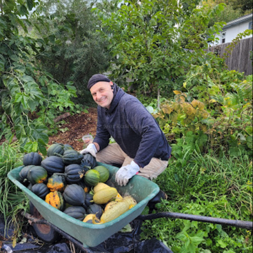 A man kneels beside a wheelbarrow filled with various squashes in a garden, surrounded by lush greenery and trees. He wears a dark sweater and gloves.