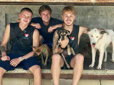 Tres hombres sonrientes sentados en un banco con tres perros felices. Los hombres llevan camisetas a juego, mostrando camaradería y compasión en un ambiente cálido, amistoso y relajado.