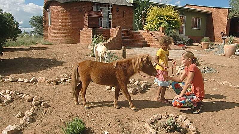 A woman and a child are interacting with a small brown pony in a yard, surrounded by rocks and plants, with a house in the background.