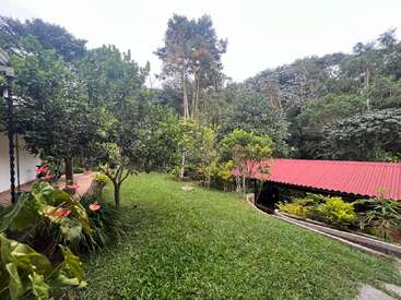 Un exuberante jardín verde con varios árboles, plantas con flores y césped, bordeado por una estructura de tejado rojo y rodeado por una densa vegetación forestal.