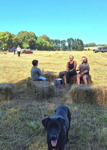 Tres personas están sentadas en fardos de heno en un campo soleado, charlando. Un perro negro está de pie delante y varios otros caminan por el fondo.