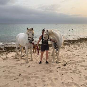 Uma pessoa está em uma praia arenosa segurando dois cavalos brancos pelas rédeas. O oceano e o céu nublado criam um cenário tranquilo ao pôr do sol. É possível ver nadadores.