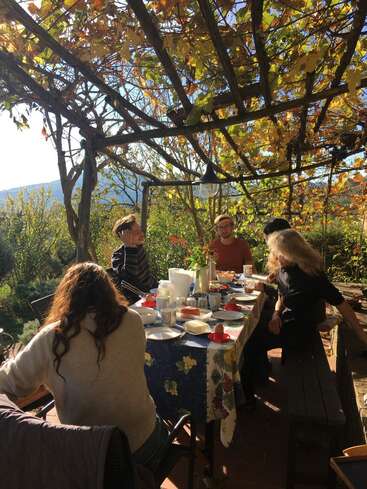 Cuatro personas disfrutan de una relajada comida al aire libre bajo una pérgola cubierta de parras. La luz del sol se filtra a través de las hojas, creando un ambiente cálido, acogedor y tranquilo.