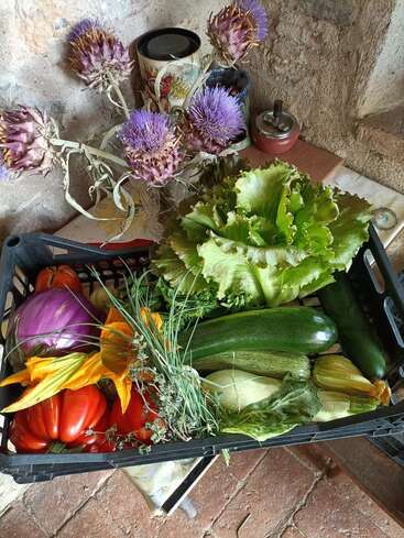 Una caja de verduras frescas que incluye lechugas, calabacines, tomates, pimientos, berenjenas, flores de calabaza y hierbas aromáticas, con flores de alcachofa y artículos de cocina al fondo.