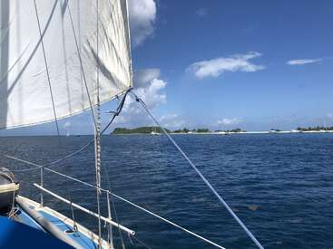 A sailboat glides on deep blue ocean waters under a sunny sky, approaching a green island with palm trees and other anchored boats in view.