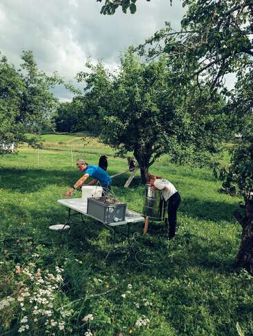 Zwei Personen arbeiten im Freien zwischen Bäumen und Grün, mit Geräten auf einem Tisch in einem Feld. Der Himmel ist bewölkt, und Wildblumen bedecken das Gras.