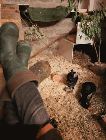 Persona relajándose con botas verdes, con las piernas cruzadas, dentro de un acogedor recinto para animales pequeños. Dos conejos negros comen zanahorias. Las virutas de madera y las ramas crean un entorno natural.