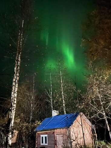 A small wooden cabin with a blue roof stands among tall trees. Above, vibrant green northern lights illuminate the night sky, creating a magical, serene atmosphere.
