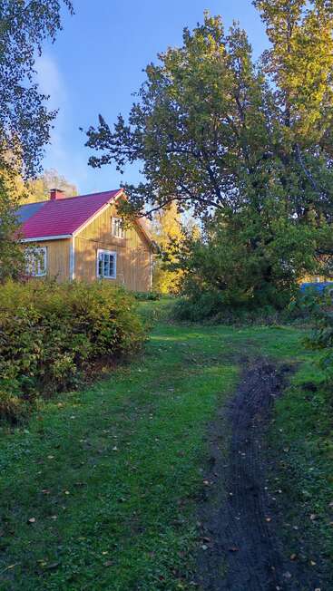A yellow wooden house with a red roof sits surrounded by green grass, bushes, and tall trees in a peaceful countryside setting on a sunny day.