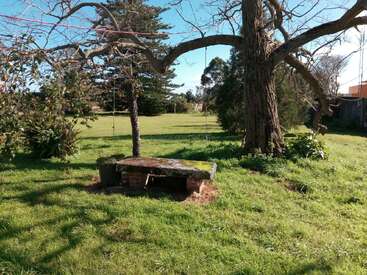 La lumière du soleil baigne une pelouse où se dresse un grand arbre dépouillé de ses feuilles. Un banc rustique en pierre se trouve à ses pieds, entouré de verdure, évoquant la tranquillité et la beauté paisible de la nature.