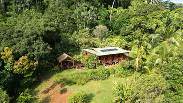 Une cabane en bois équipée de panneaux solaires est nichée dans une forêt verdoyante. Un belvédère au toit de chaume se trouve à proximité, entouré de plantes tropicales éclatantes et de grands arbres.