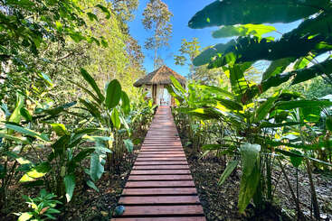 Une passerelle en bois bordée de plantes tropicales luxuriantes mène à une hutte au toit de chaume sous un ciel bleu limpide, créant ainsi un cadre paisible et immersif en pleine nature.