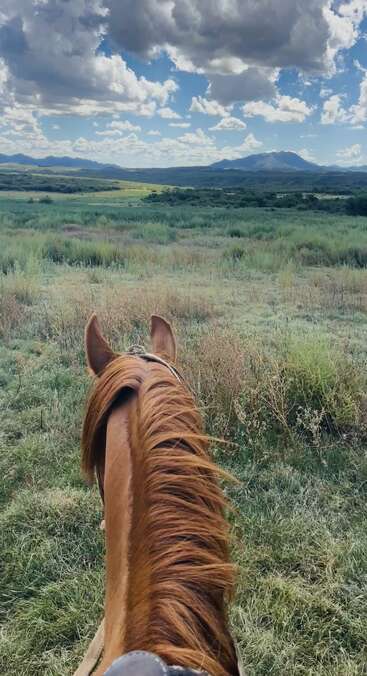 The image shows a horse’s head and ears in the foreground, facing a sprawling green field under a dramatic sky with fluffy clouds and distant mountains.