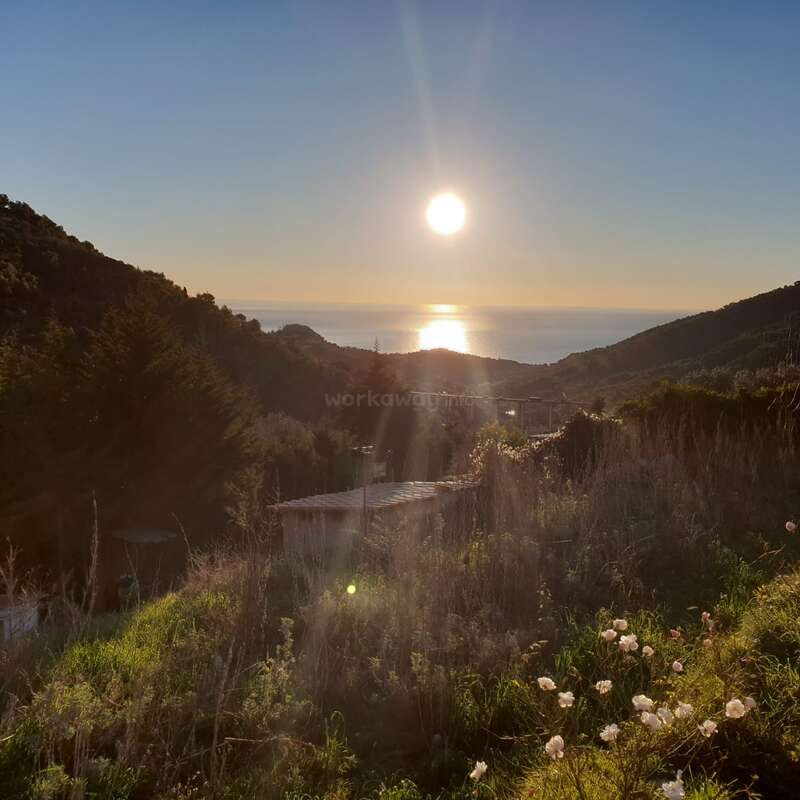 The image depicts a serene sunset over a hillside, with a grassy slope, wildflowers, and a small building in the distance, set against a clear blue sky.