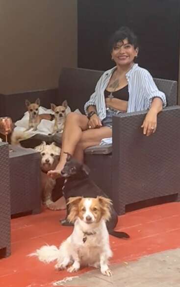 Eine lächelnde Frau sitzt auf den Gartenmöbeln, umgeben von fünf Hunden verschiedener Rassen. Sie sieht entspannt aus, trägt legere Sommerkleidung und sitzt auf einer rot gefliesten Veranda.