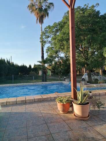 Une scène paisible autour d'une piscine extérieure, avec une eau d'un bleu limpide, des plantes en pot sur une terrasse carrelée, de grands palmiers, une végétation luxuriante, une voiture garée et un ciel ensoleillé.