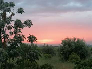 L'image représente un paysage serein, avec des arbres et des buissons verts au premier plan, et un magnifique ciel rose au coucher du soleil, parsemé de nuages, en arrière-plan.