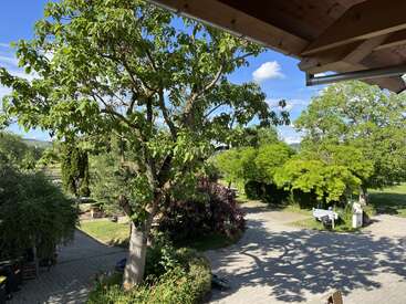 Ein sonniger Tag: Vom Balkon aus blickt man auf einen üppig grünen Garten mit großen Bäumen, Sträuchern und gepflasterten Wegen sowie auf den blauen Himmel mit vereinzelten Wolken. Eine friedliche Szenerie.