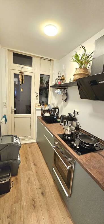 A narrow, modern kitchen with wooden flooring, sleek cabinets, and countertop appliances. Plants, stacked bins, dish rack, and wall-mounted shelves create an organized yet cozy space.