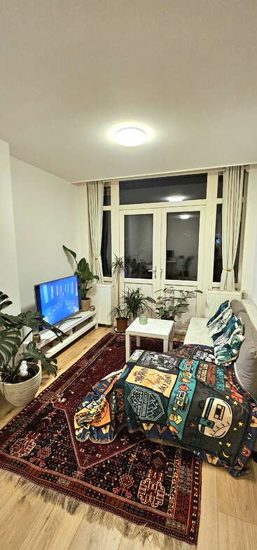 A cozy living room with a sofa, colorful blanket, TV, many potted plants, large windows with curtains, wooden floors, and a decorative Persian rug.