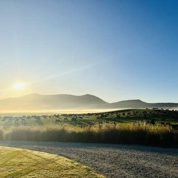 The image depicts a serene landscape featuring a herd of cattle grazing in a lush green field, with rolling hills and mountains in the background under a clear blue sky.