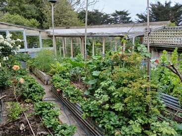 Ein üppiger, gut gepflegter Garten mit Hochbeeten, bunten Blumen und Gemüse. Umgeben von einer Netzstruktur, einem Gewächshaus und üppigem Grün. Wege und Gartenschläuche sind sichtbar.