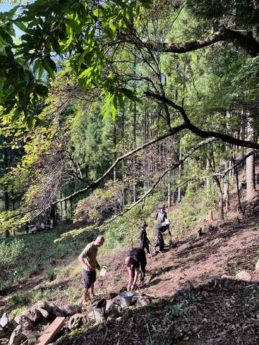 Four people are working on a forested hillside, digging and clearing soil. Surrounded by tall trees and greenery, they appear to be engaged in outdoor conservation activities.