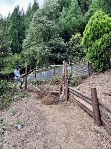 A person is building a wooden retaining wall on a dirt pathway in a forested area, surrounded by lush green trees and various gardening tools.