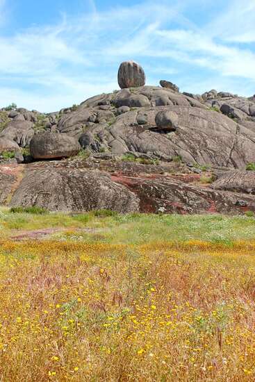 Uma colina rochosa pontilhada de pedras maciças e arredondadas se ergue atrás de um campo de flores silvestres amarelas, sob um céu azul brilhante com nuvens esparsas.