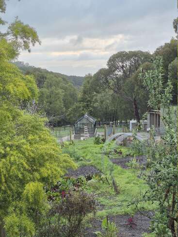 Dieses Bild zeigt einen üppigen, grünen Garten mit verschiedenen Pflanzen, Bäumen und Sträuchern. In der Mitte steht ein Gewächshaus, umgeben von einem Zaun, unter einem bewölkten Himmel. Eine friedliche Umgebung.