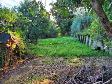 Eine ruhige, sonnendurchflutete Lichtung im Garten mit sattgrünem Gras, umgeben von Bäumen und Sträuchern. An einer Seite verläuft eine hölzerne Stützmauer, und in der Nähe steht ein Baumstumpf.