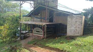 This image shows a rustic, elevated house with a green roof, hammocks, lush vegetation, outdoor kitchen, stone stairway, and a peaceful, tropical garden setting.