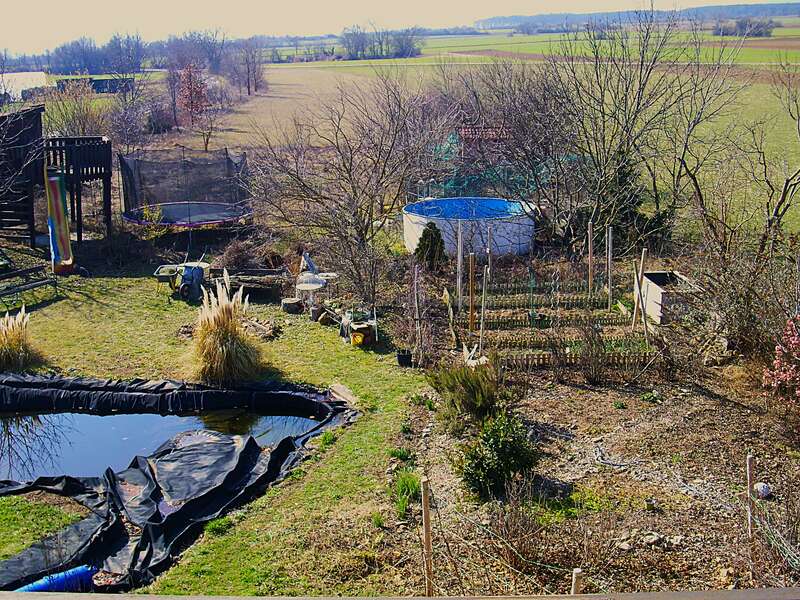 This image shows a backyard garden with a pond, swimming pool, raised beds, trees, trampoline, slide, and open fields in the background on a sunny day.