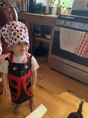 Un niño pequeño, con un delantal de mariquita y un gorro de cocinero con estampados de mariquitas, está de pie en una acogedora cocina, sonriendo dulcemente, listo para ayudar a cocinar.