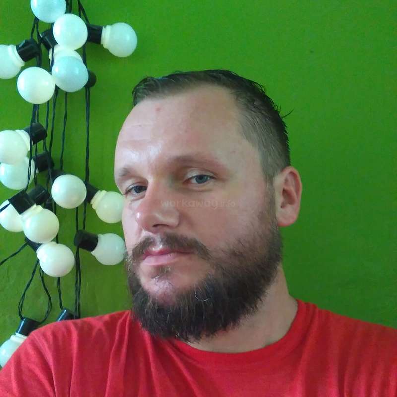 Das Bild zeigt einen Mann mit kurzen dunklen Haaren und einem Bart, der ein rotes Hemd trägt und vor einer grünen Wand steht, die mit einer Reihe weißer Glühbirnen geschmückt ist.