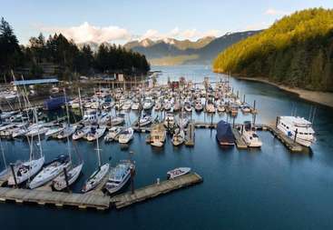 A imagem retrata uma cena serena de uma marina, com uma fileira de barcos e iates atracados na água, com um céu claro e uma atmosfera calma. A marina é cercada por uma vegetação exuberante.