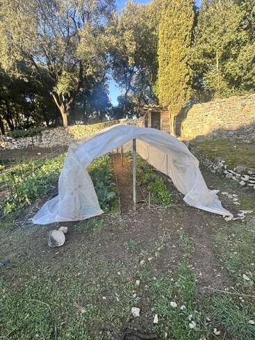 A small garden plot is covered with a makeshift plastic tunnel, surrounded by trees, stone walls, and a wooden shed, capturing a rustic outdoor scene.