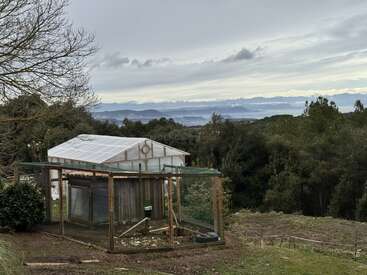 A small greenhouse and chicken coop sit beside a tree on a grassy hill, overlooking dense forest and misty mountains under a cloudy sky in the distance.