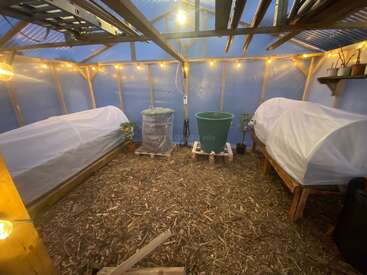 This image shows the inside of a cozy greenhouse with wooden raised beds, covered plants, string lights, woodchip floor, potted plants, and large bins for gardening.