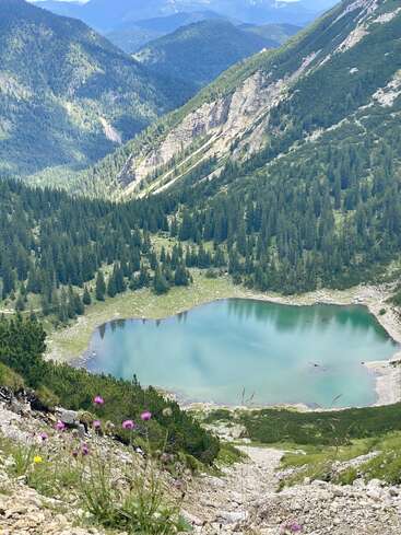 Ein ruhiger türkisfarbener Bergsee ist von dichten Kiefernwäldern und felsigen Hängen umgeben. Im Vordergrund blühen Wildblumen und in der Ferne erheben sich hohe Berggipfel.