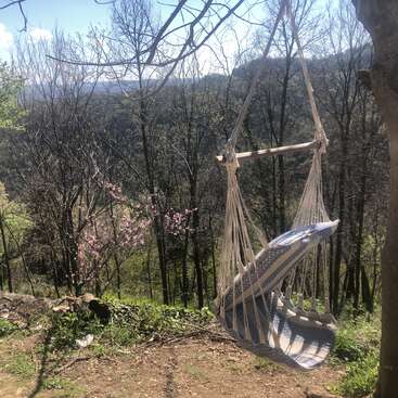 A imagem mostra um ambiente externo sereno com uma rede suspensa em uma árvore, cercada por árvores e um céu azul com nuvens brancas.