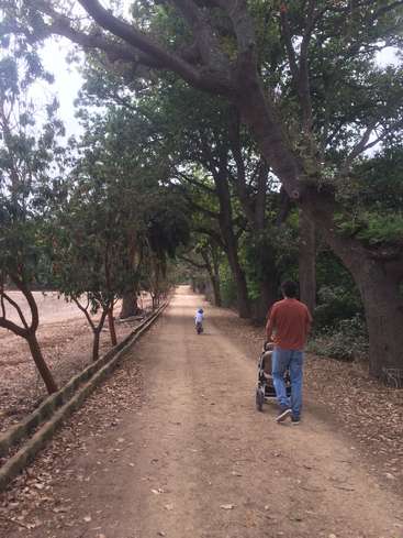 La imagen muestra una serena escena de un hombre empujando un cochecito y un niño en bicicleta por un camino de tierra, rodeados de árboles y un cielo nublado.