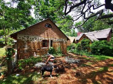 L'image représente une scène sereine où une personne s'occupe de plantes devant une maison rustique en briques, accompagnée d'un chien qui se tient à proximité sur un chemin de terre.