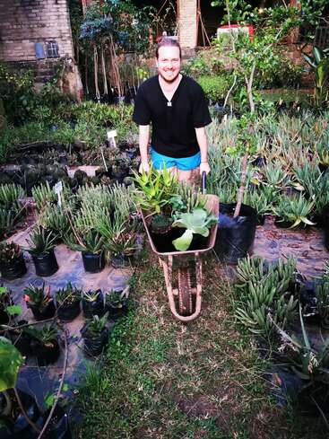 Un homme se tient dans un jardin, entouré de plantes en pot, poussant une brouette remplie de plantes grasses et d'autres plantes vertes, vêtu d'une chemise noire et d'un short bleu.