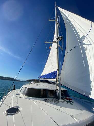 A beautiful catamaran sails smoothly across the blue ocean under a clear sky. The bright white sails billow, capturing the sunlight and gentle sea breeze.