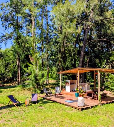 Ein ruhiger Außenbereich hat eine Holzterrasse mit Stühlen, einem Tisch, Topfpflanzen und einer überdachten Küche, umgeben von hohen Bäumen und grünem Gras.
